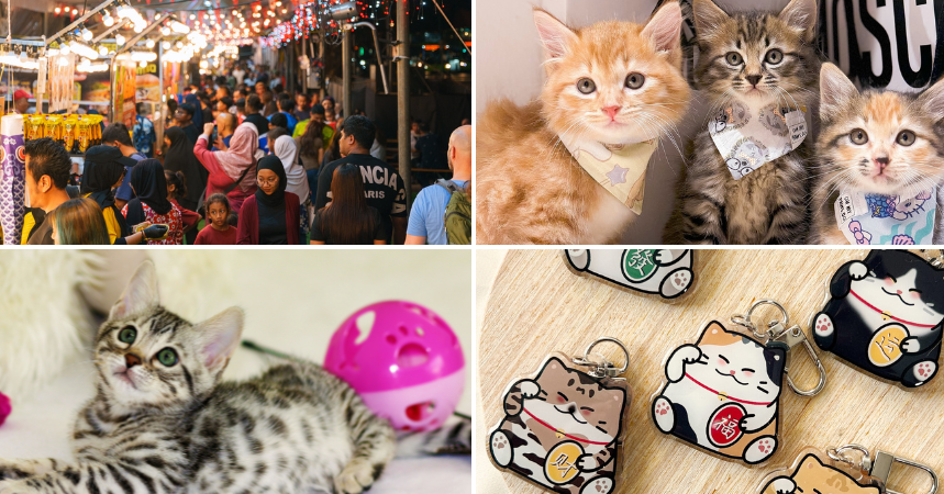 cats walk street weekend market