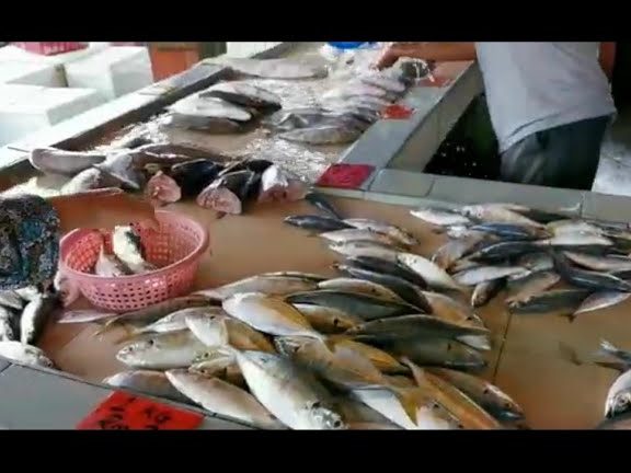No9 Ikan segar peramu 1 no9 ikan segar peramu