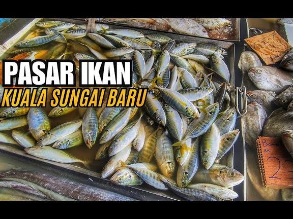 Pasar Tani Kuala Sungai Baru 1 pasar tani kuala sungai baru