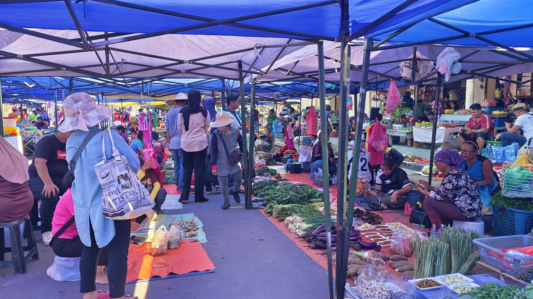 Tamu Papar 1 tamu papar