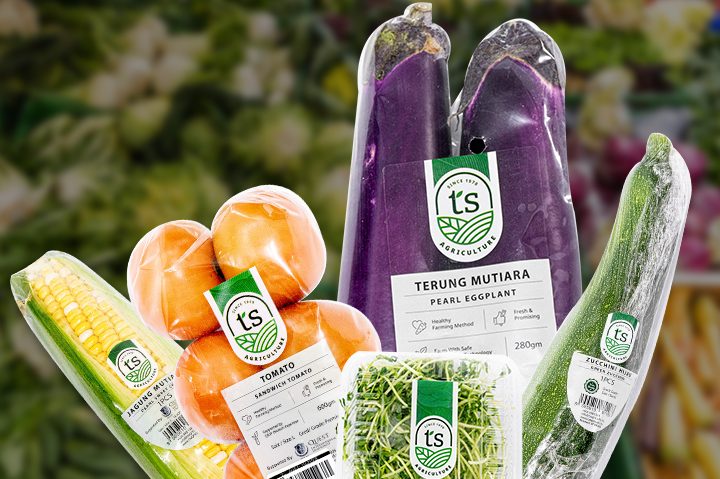 Ts Vegetables 1 ts vegetables